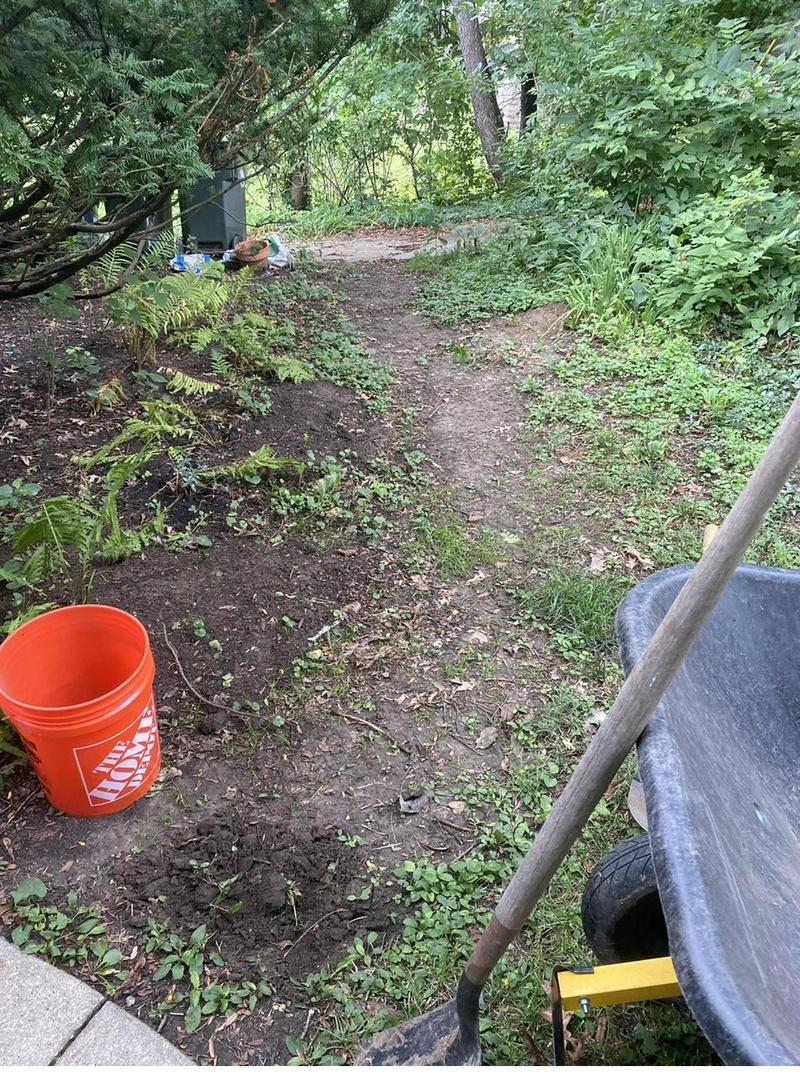 Overgrown path before walkway installation in Solon, Iowa