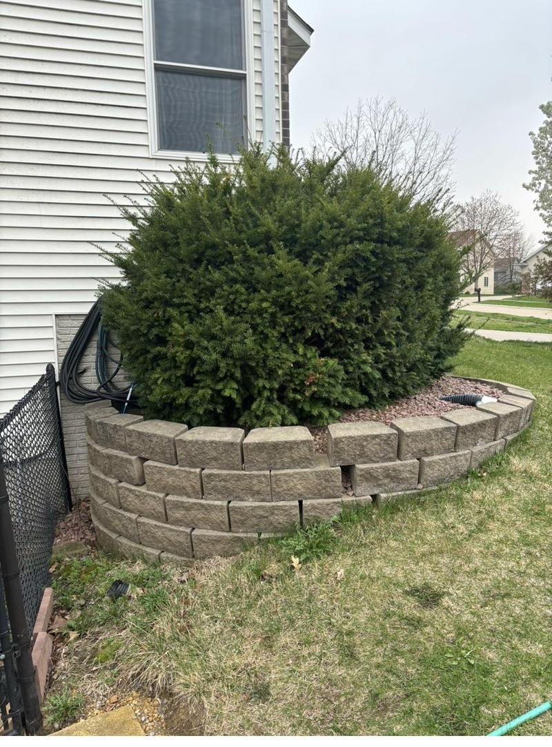 Block retaining wall with shrub in Eastern Iowa