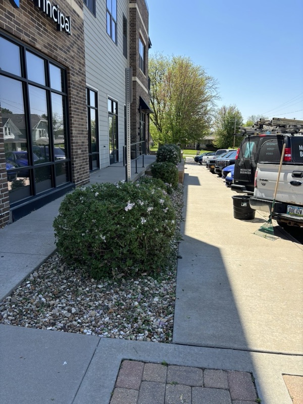 Trimmed commercial shrubs by Ryan Ras in Eastern Iowa