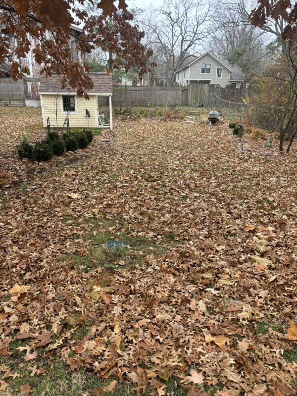 Fall leaf removal service in Eastern Iowa