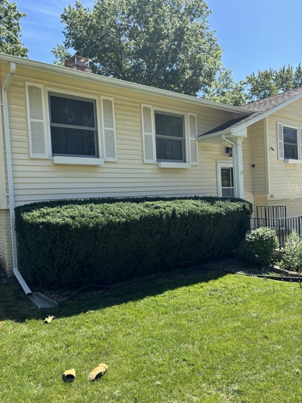 Tree and shrub trimming service near Iowa City